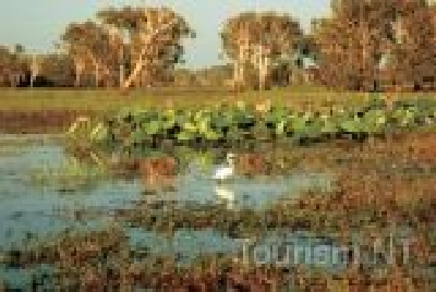 Kakadu NP Yellow Waters-NT KAK Yellow 3.jpg